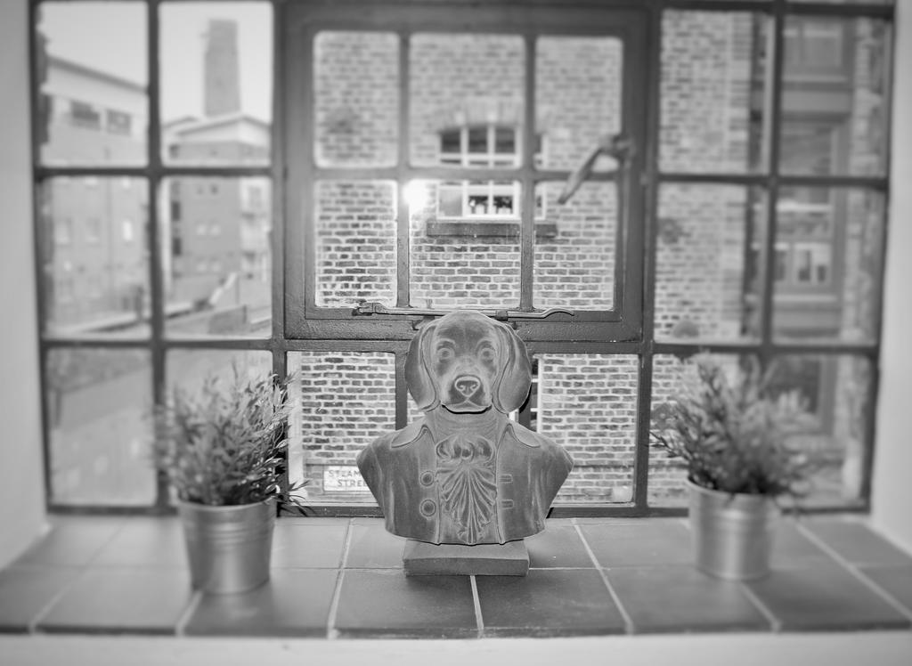 Oyo Approved Serviced Apartments Steam Mill 切斯特 外观 照片
